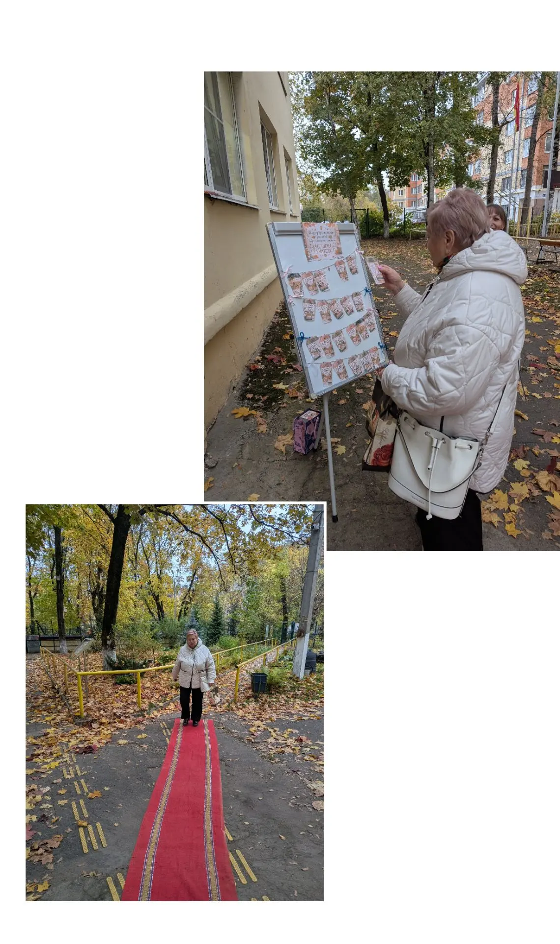 ✨ Доброе утро начинается с чуда! ✨