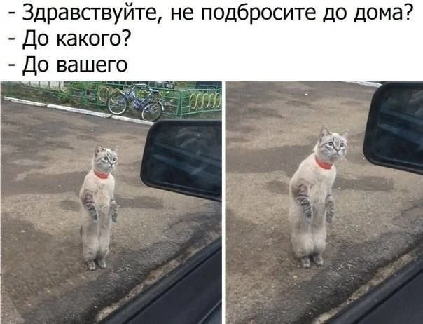 Мемы каждый день • Подписаться