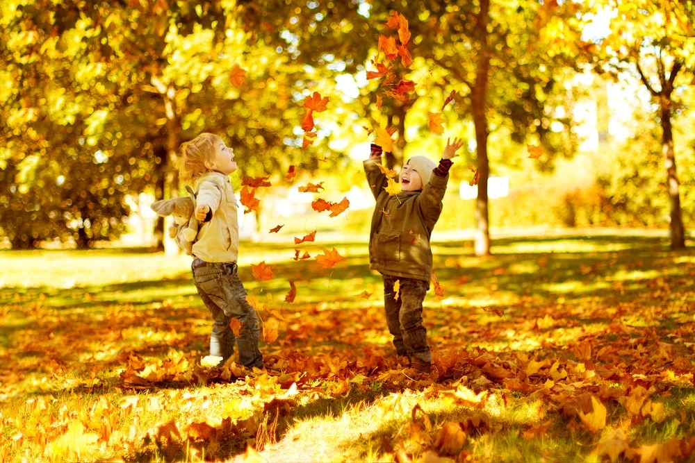 🍂 Прогулка — это мини‑исследование