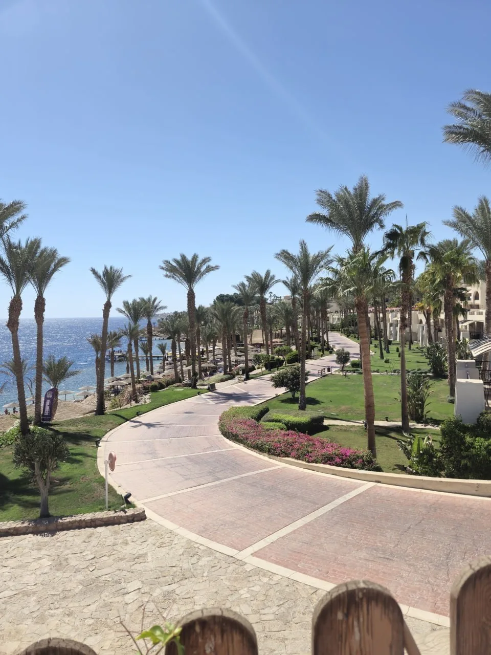 🥂🎄Встречаем Новый год в Египте 🌴☀️