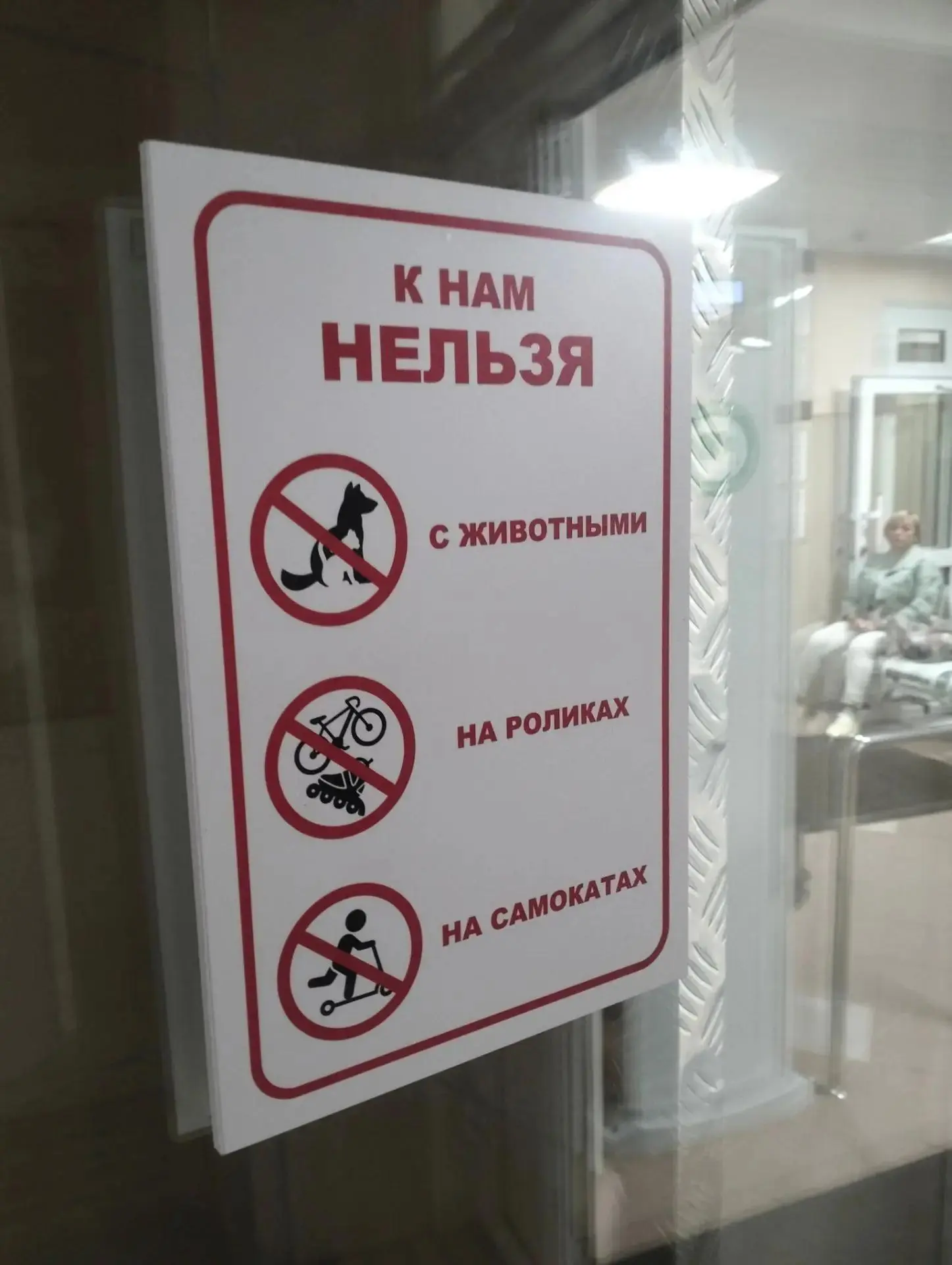 🐾 Когда пациенты берут с собой на приём к стоматологу шиншиллу, а к сосудистому хирург...