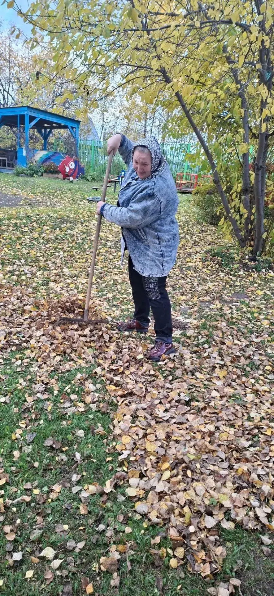 🍁🍂🍁