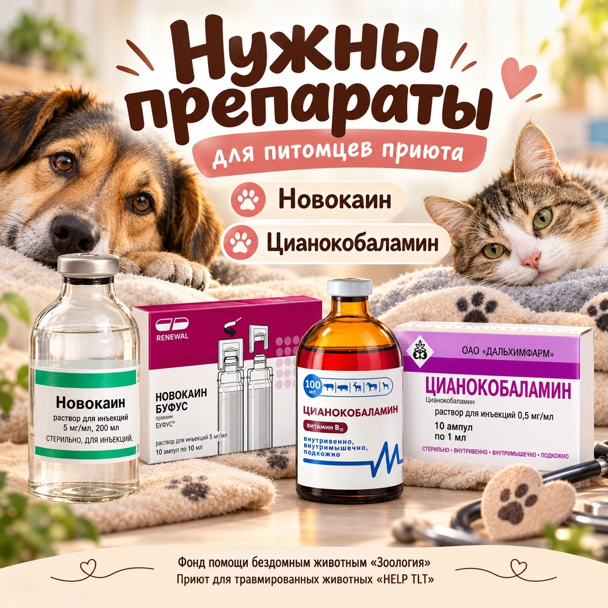 Друзья, у нас снова серьёзная проблема с лекарствами. Аптечка приюта «HELP TLT» практич...