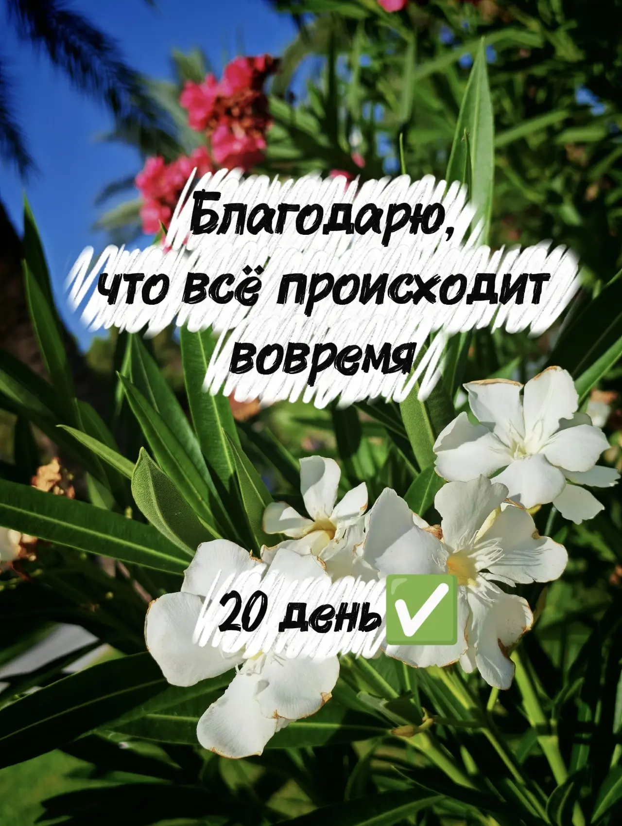 #здесь_и_сейчас #благодарности #20_день #готово✅