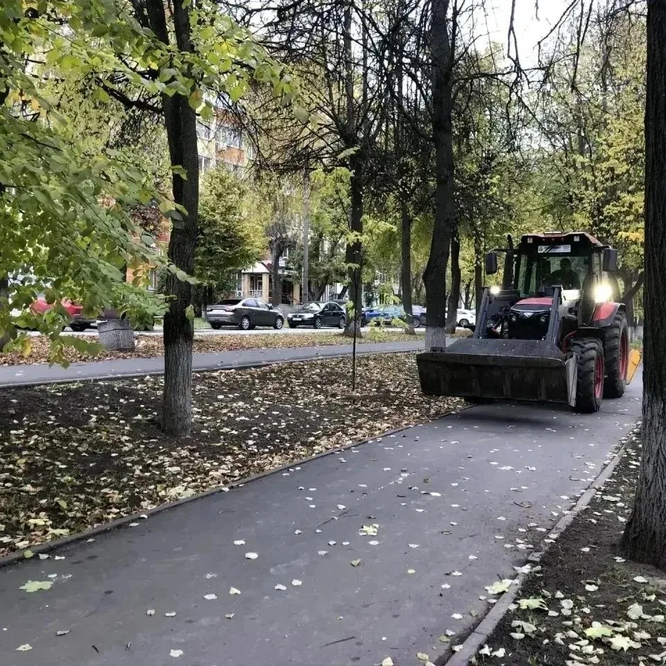 Эртыше кугарнян Йошкар-Олаште шыжым икымше тӱшка субботник лийын.