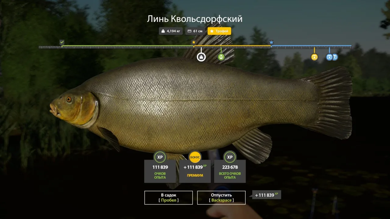 #медное@RF4_Vkluchite_klev