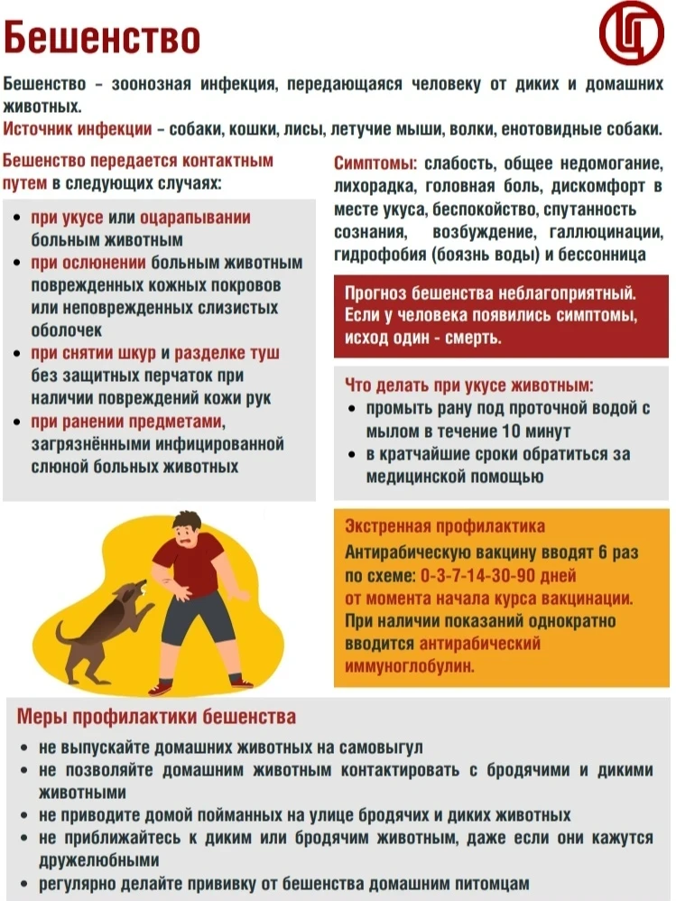 🚨 В Кунгурском округе выявили бешенство у животных