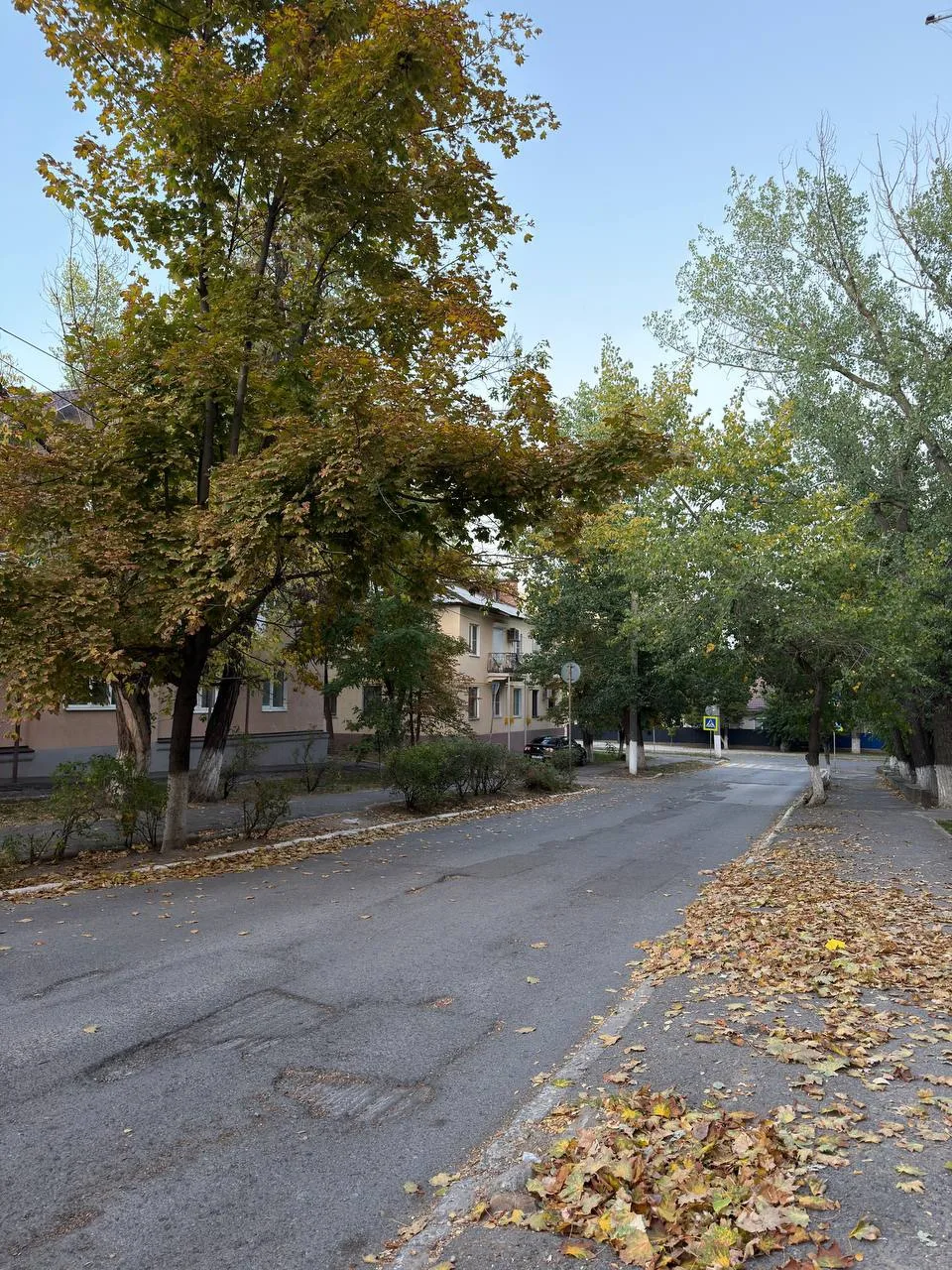 🍂 ОСЕНЬ УЖЕ ПОЛНОСТЬЮ В ГОРОДЕ