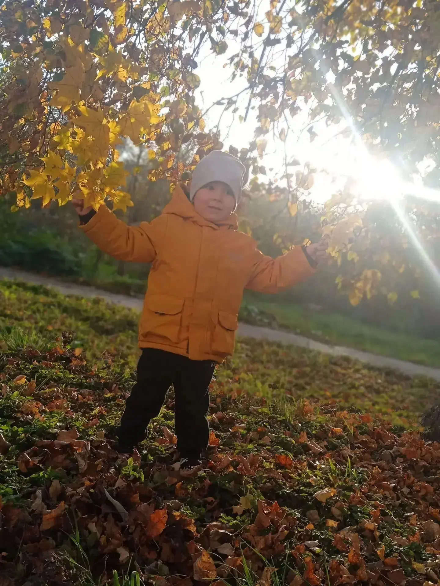 🍂 Флешмоб «Листопад в ладошках» 🍂🍁