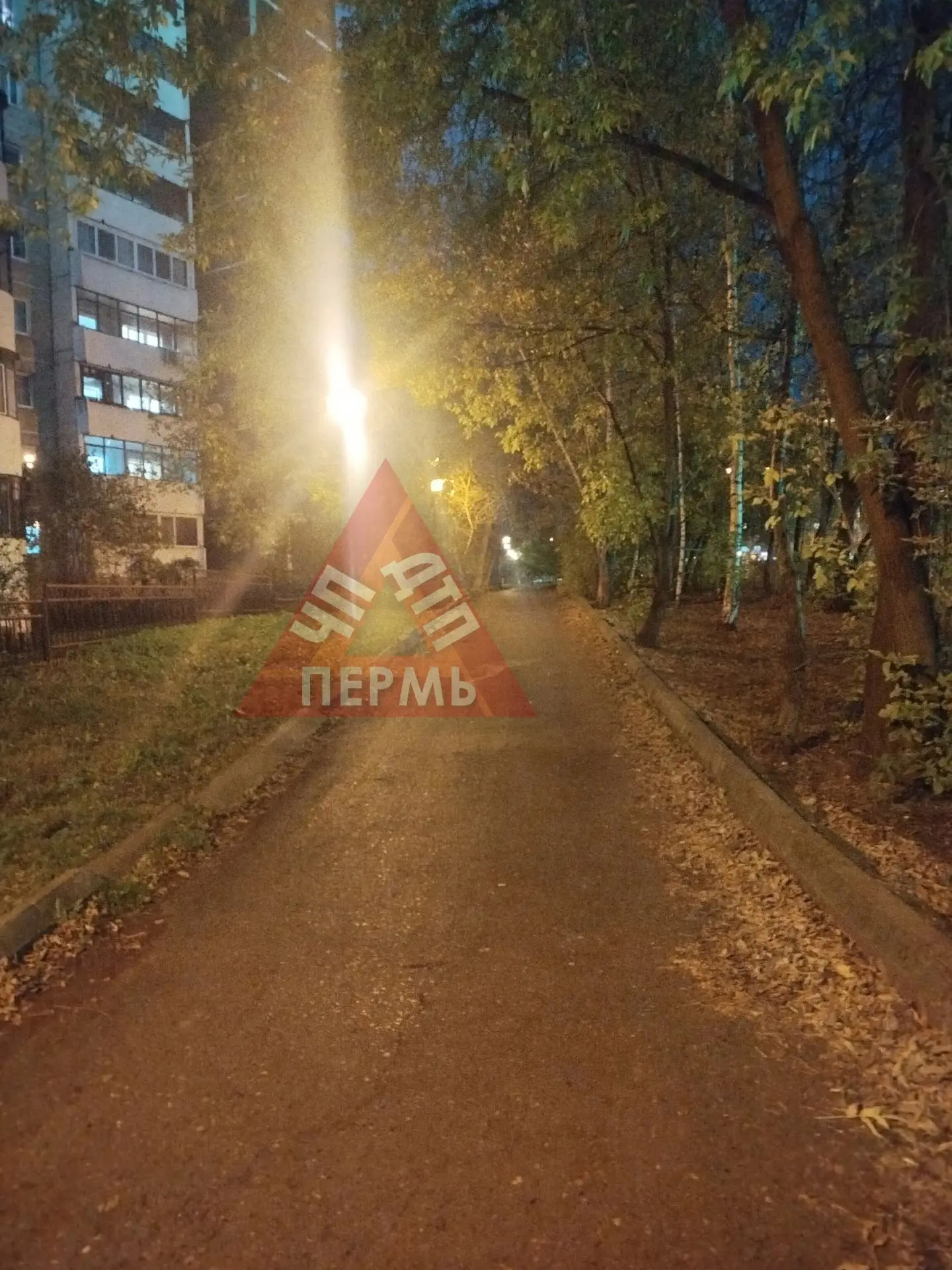 От подписчиков