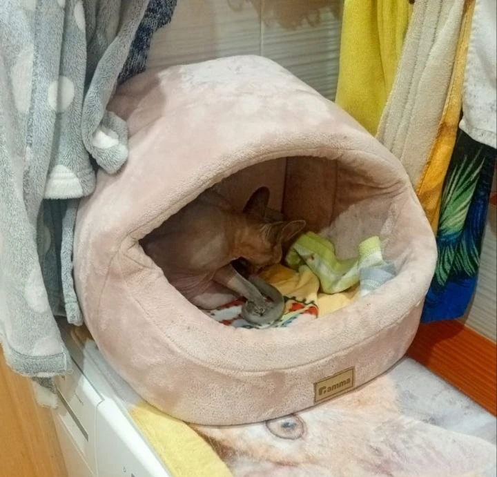 #Москва