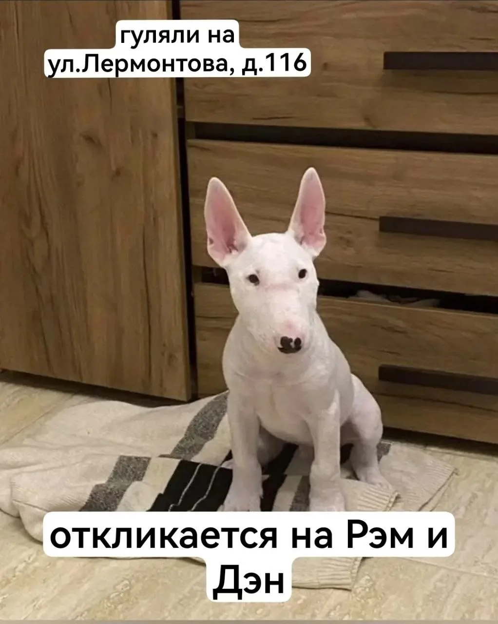 ❗️ПОМОГАЕМ ИНФОРМАЦИОННО❗️