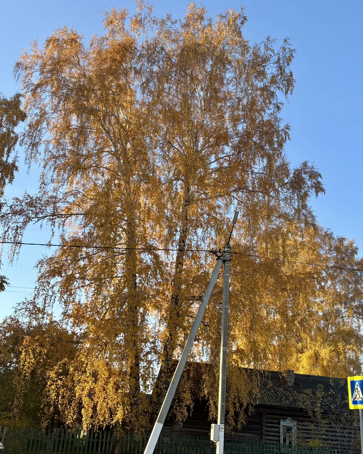 ☀️ Доброе утро, район!
