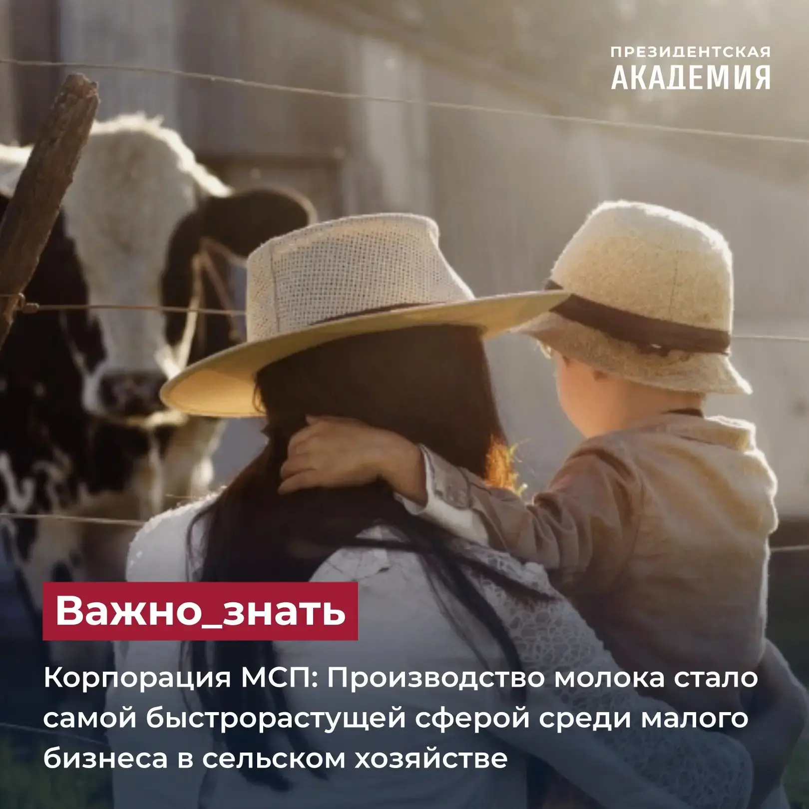 Корпорация МСП: Производство молока стало самой быстрорастущей сферой среди малого бизн...
