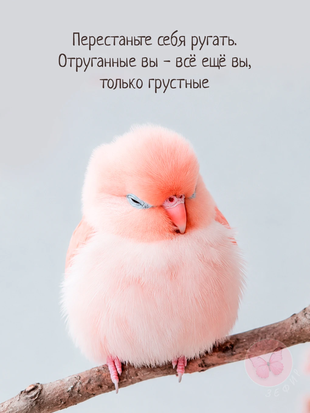 З Е Ф И Р