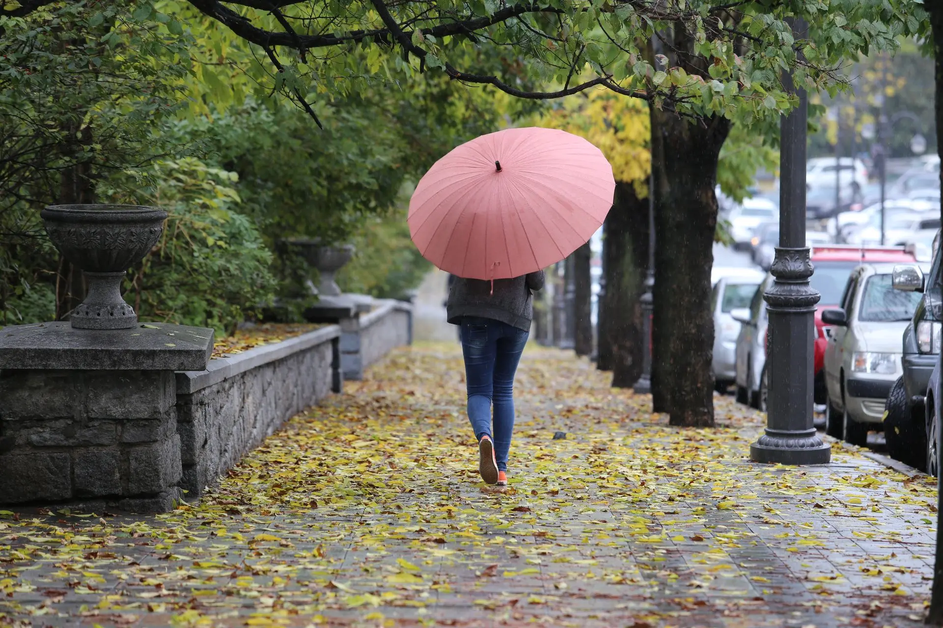 🌧 Город против непогоды