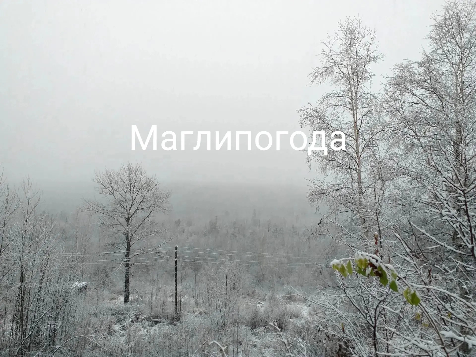 📍Молодёжное, снова сыпет мокрый снег, температура +1°. 🌨️🌨️🌨️❄️❄️❄️