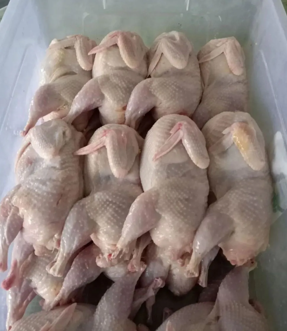 Продам тушки перепелов в вакуумной упаковке. Цена 900 руб./кг. Перепелиное яйцо – 180 р...