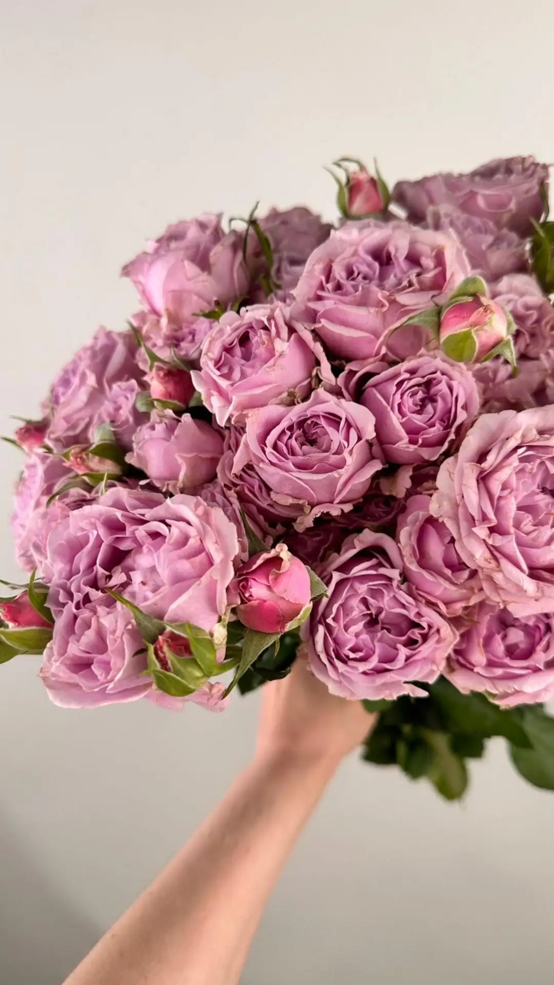 🌸 Свежее поступление