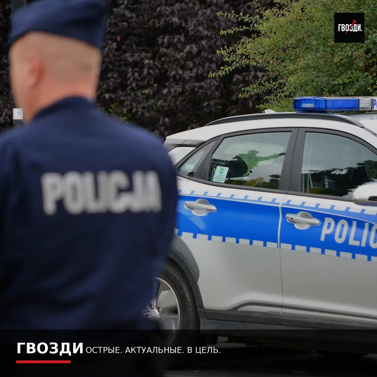 Польская полиция задерживает подростков на фоне угроз школам