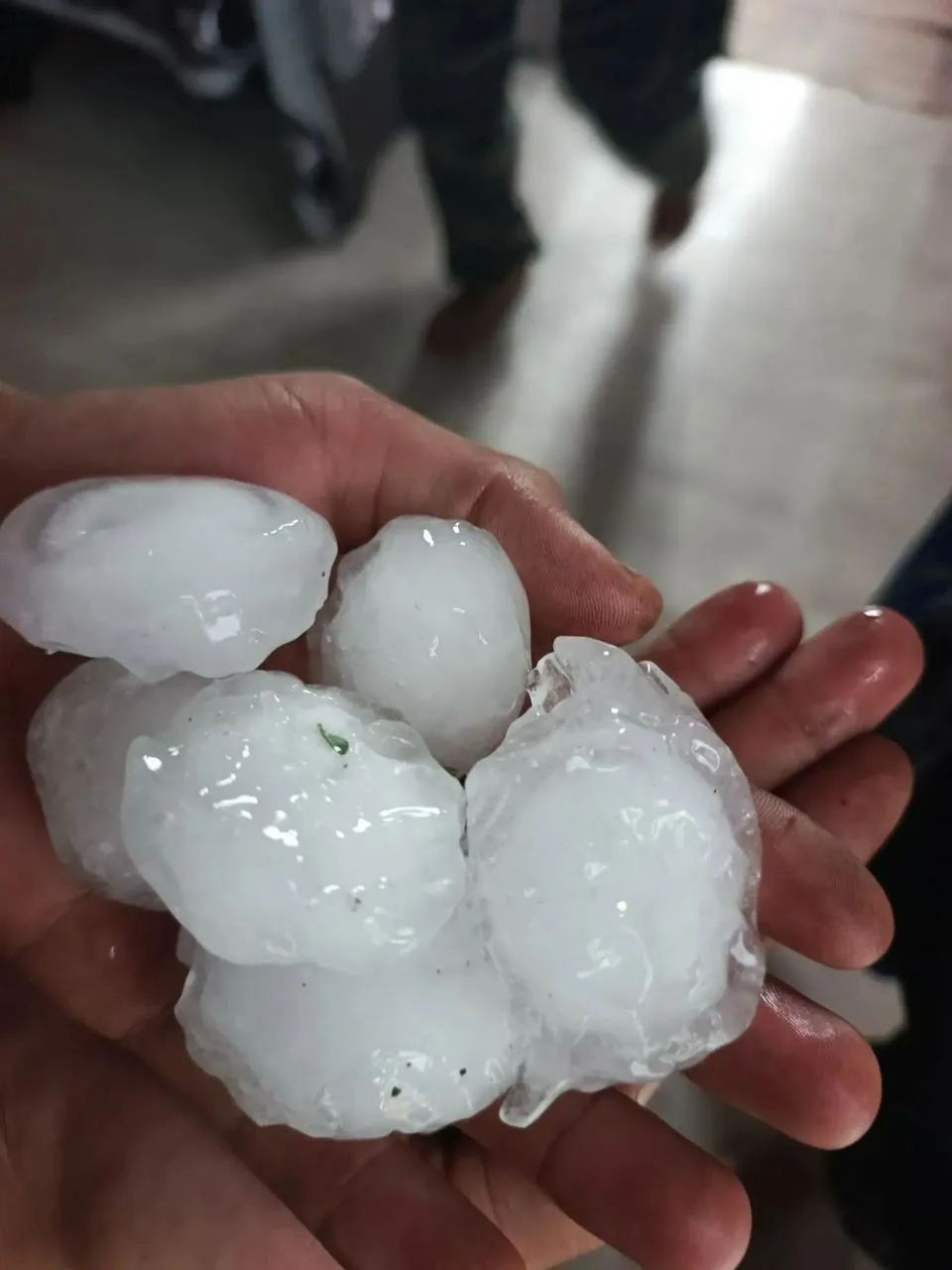 🌪️По соседней Курганской области сегодня прошёлся смерч