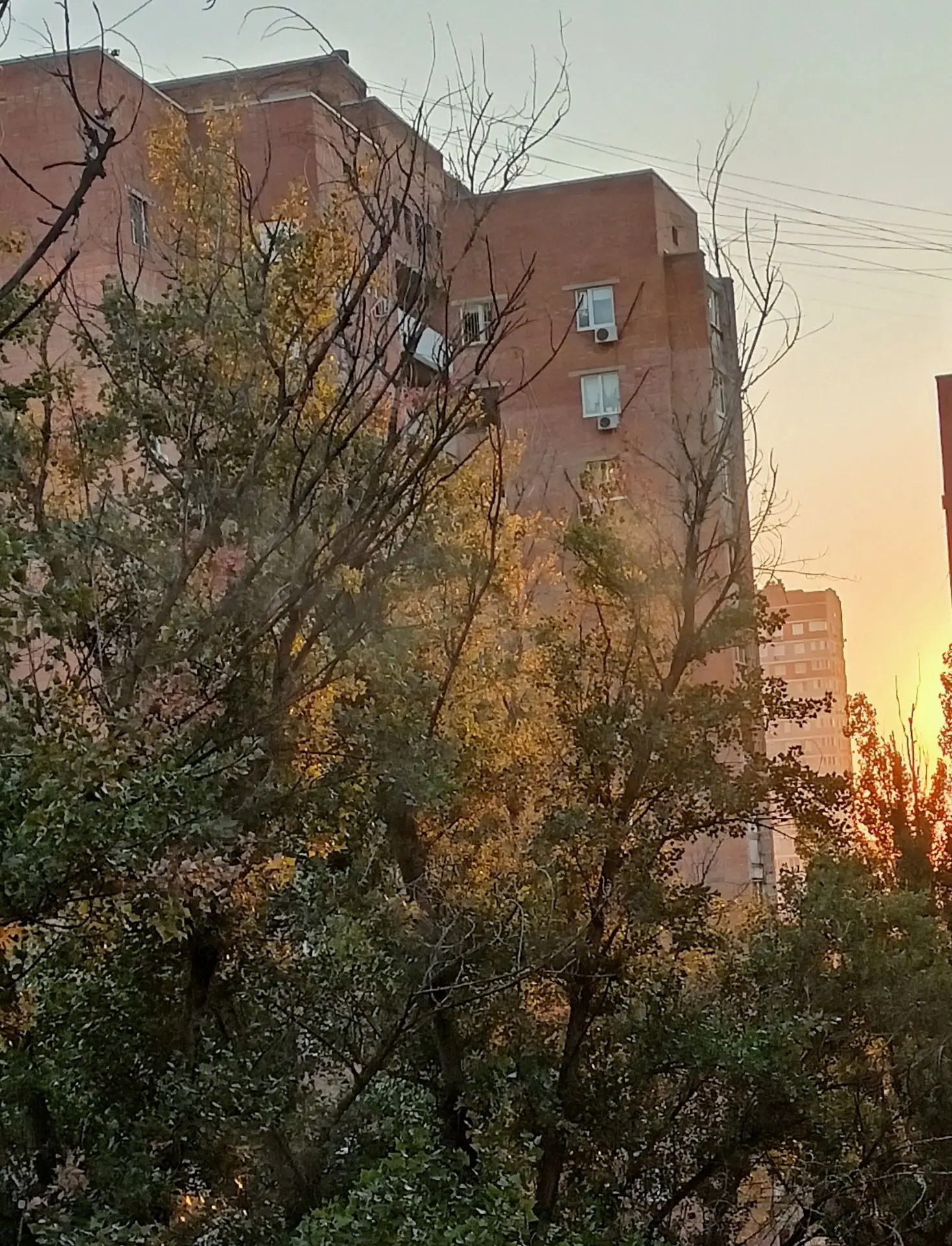 Как хороши тихие, не суетные, спокойные домашние вечера!🫠