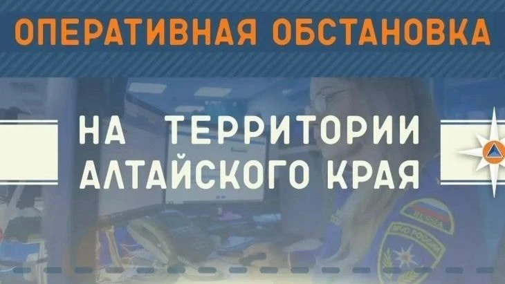 При пожаре в Алтайском крае сгорели два автомобиля и погибли 20 кур