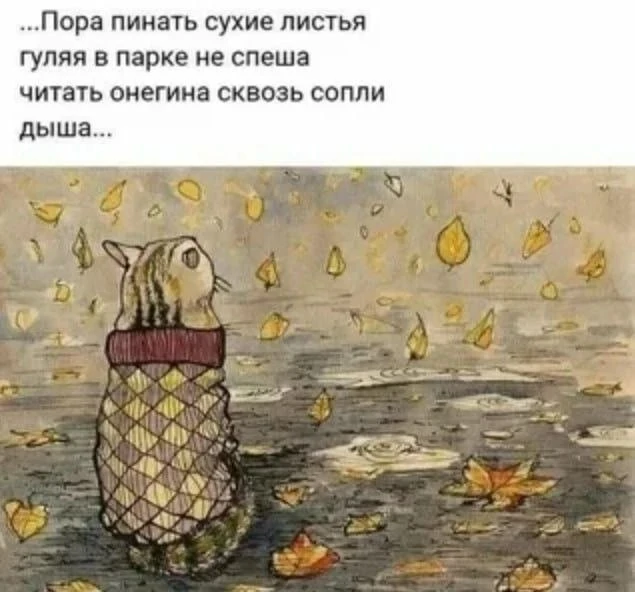 👉🏼 Подпишись