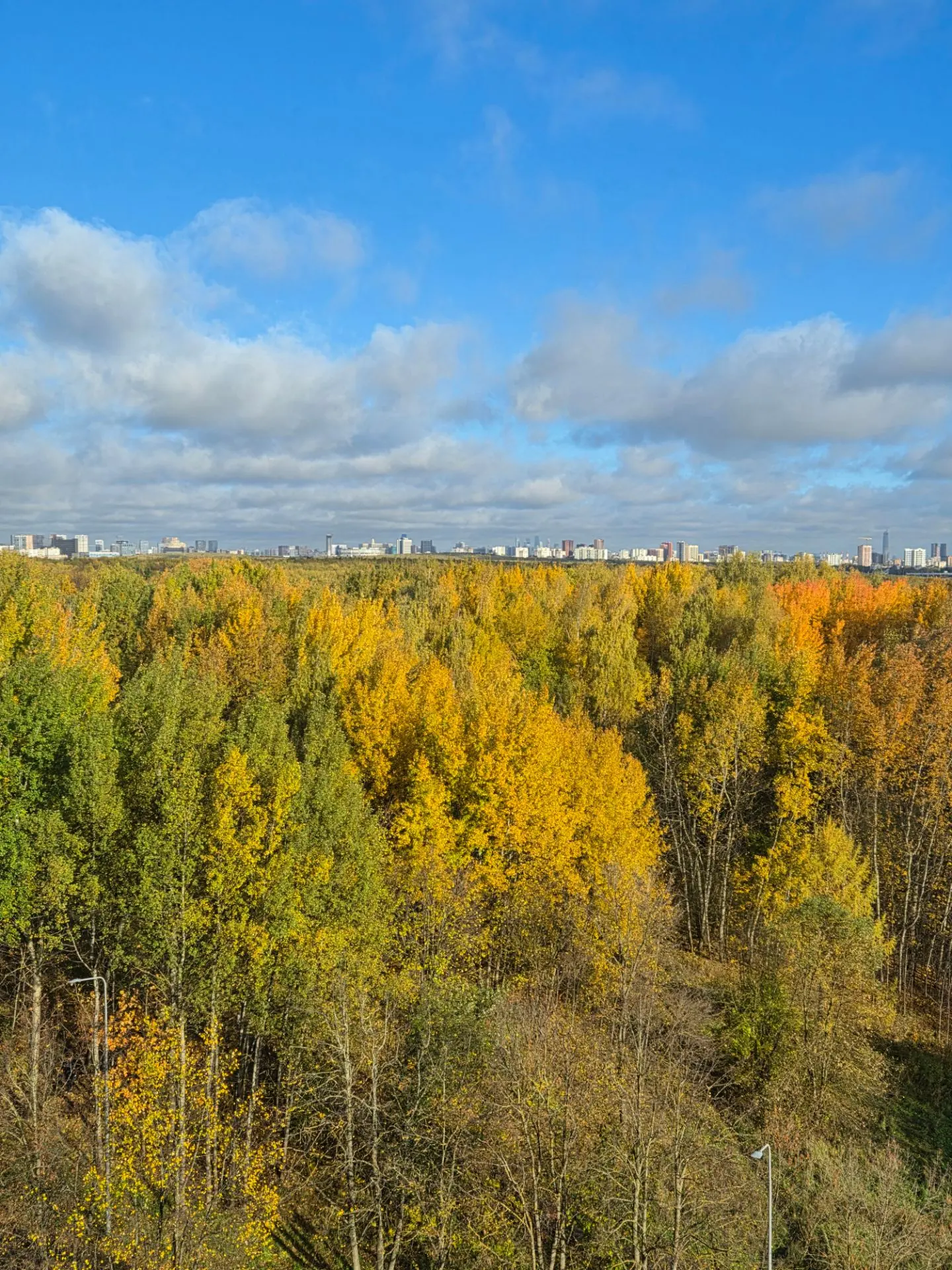 С добрым утром☀️🍁🍂