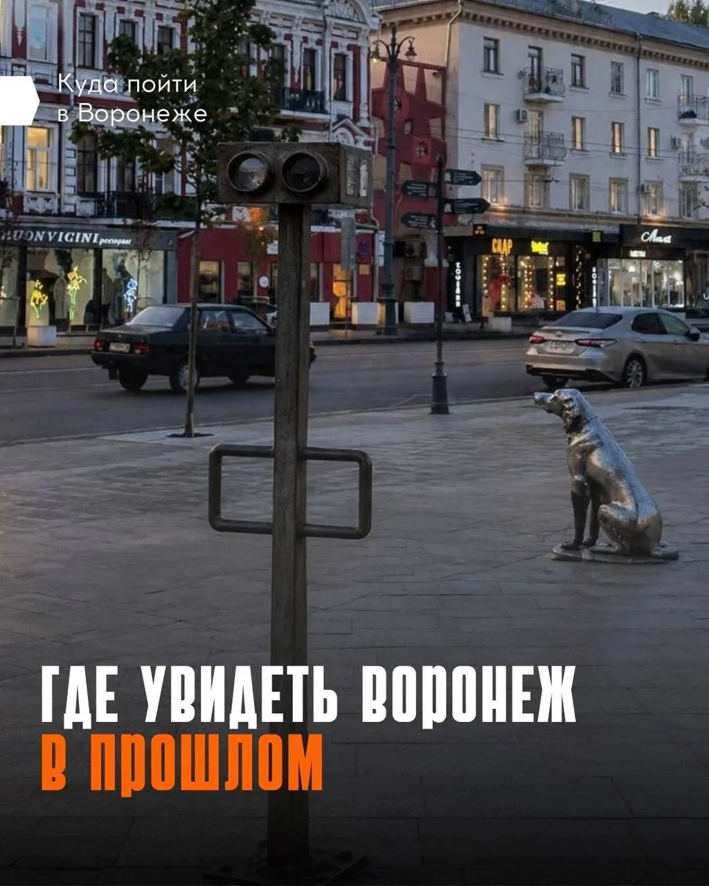 В центре Воронежа установят стереоскопы