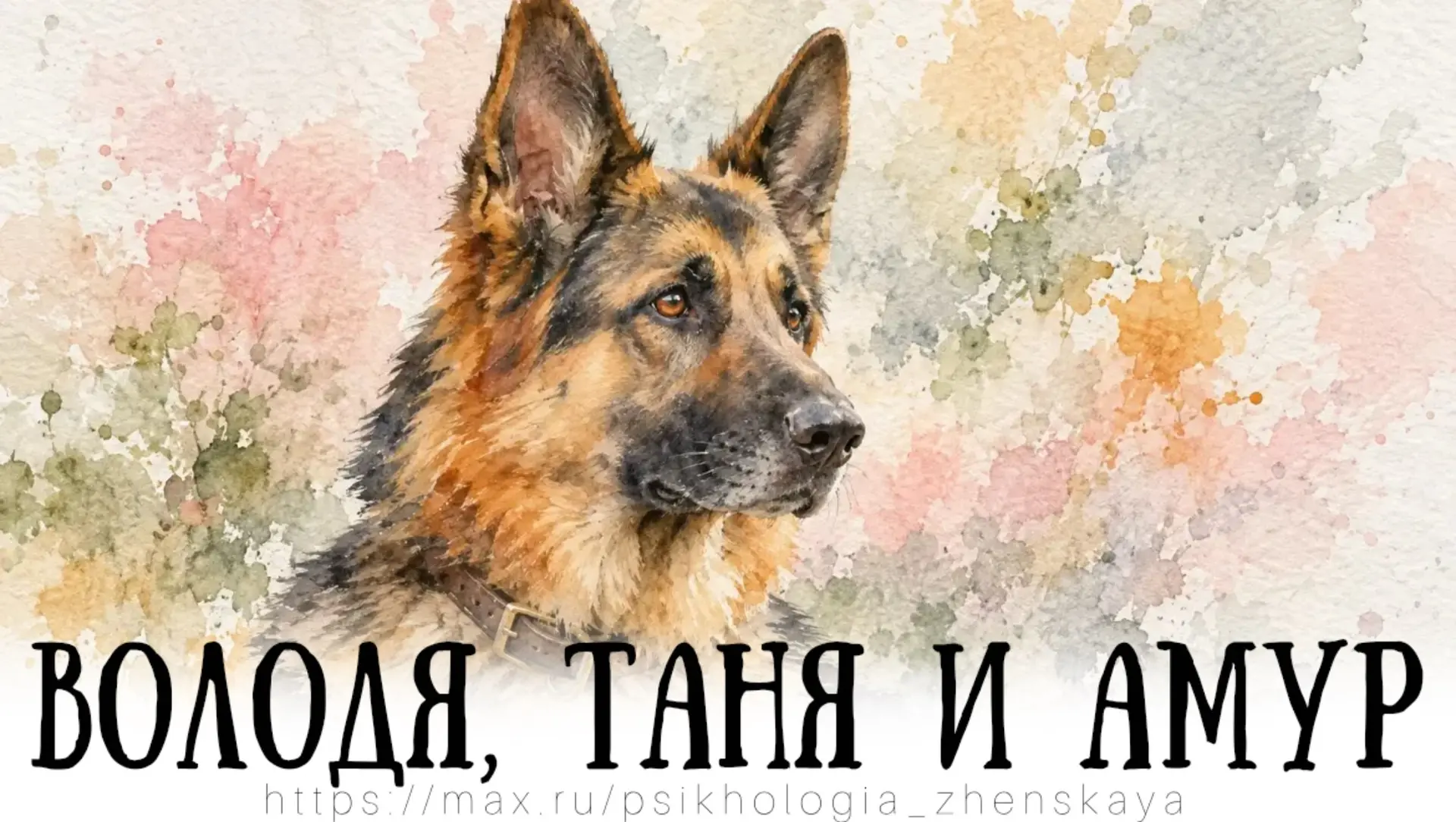 Парень плюнул на всех этих элитных особей и выбрал отбракованного щенка, который имел о...