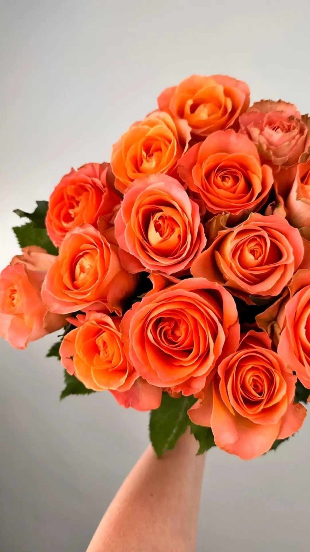 🌸 Свежее поступление