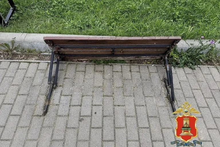 Сыночки-корзиночки…