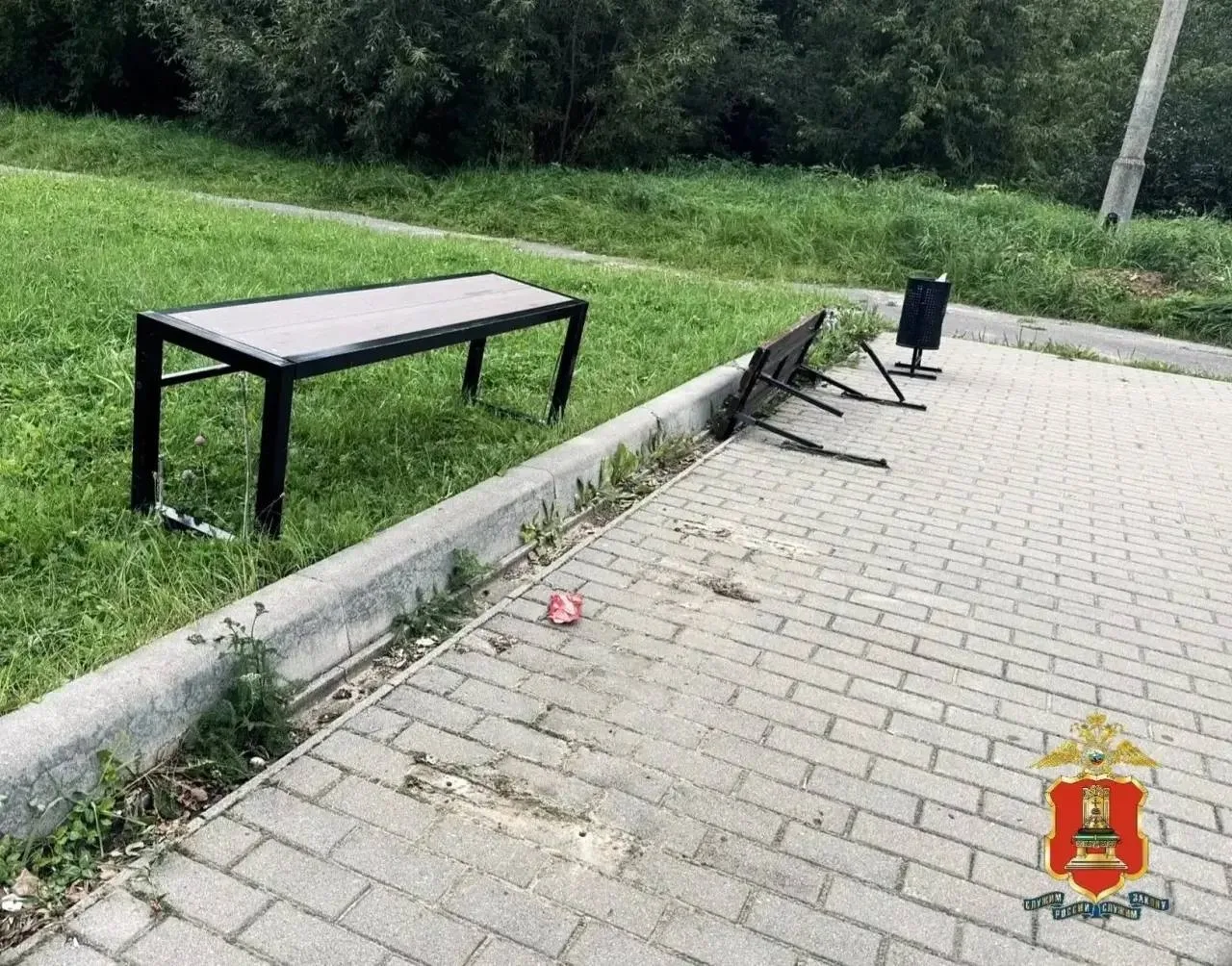 В Конаково подростки разгромили сквер у ДК "Современник" - виновных нашли по камерам