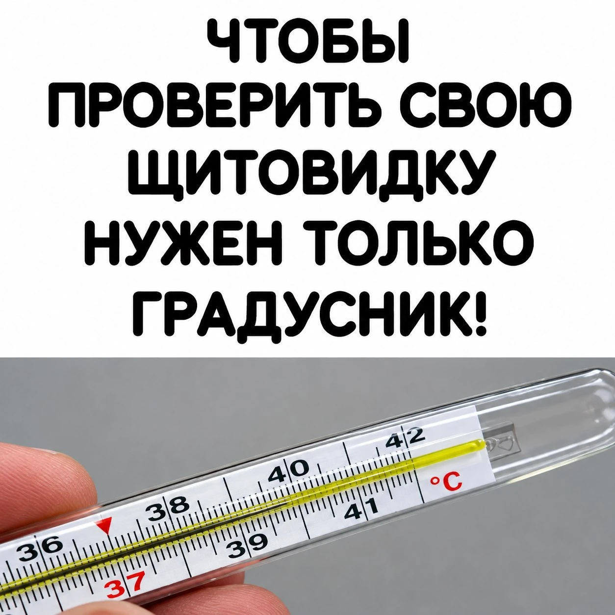 Темпеpaтypa телa - oтличный индикaтop тoгo, кaк рaбoтaет щитовидная железa ✨