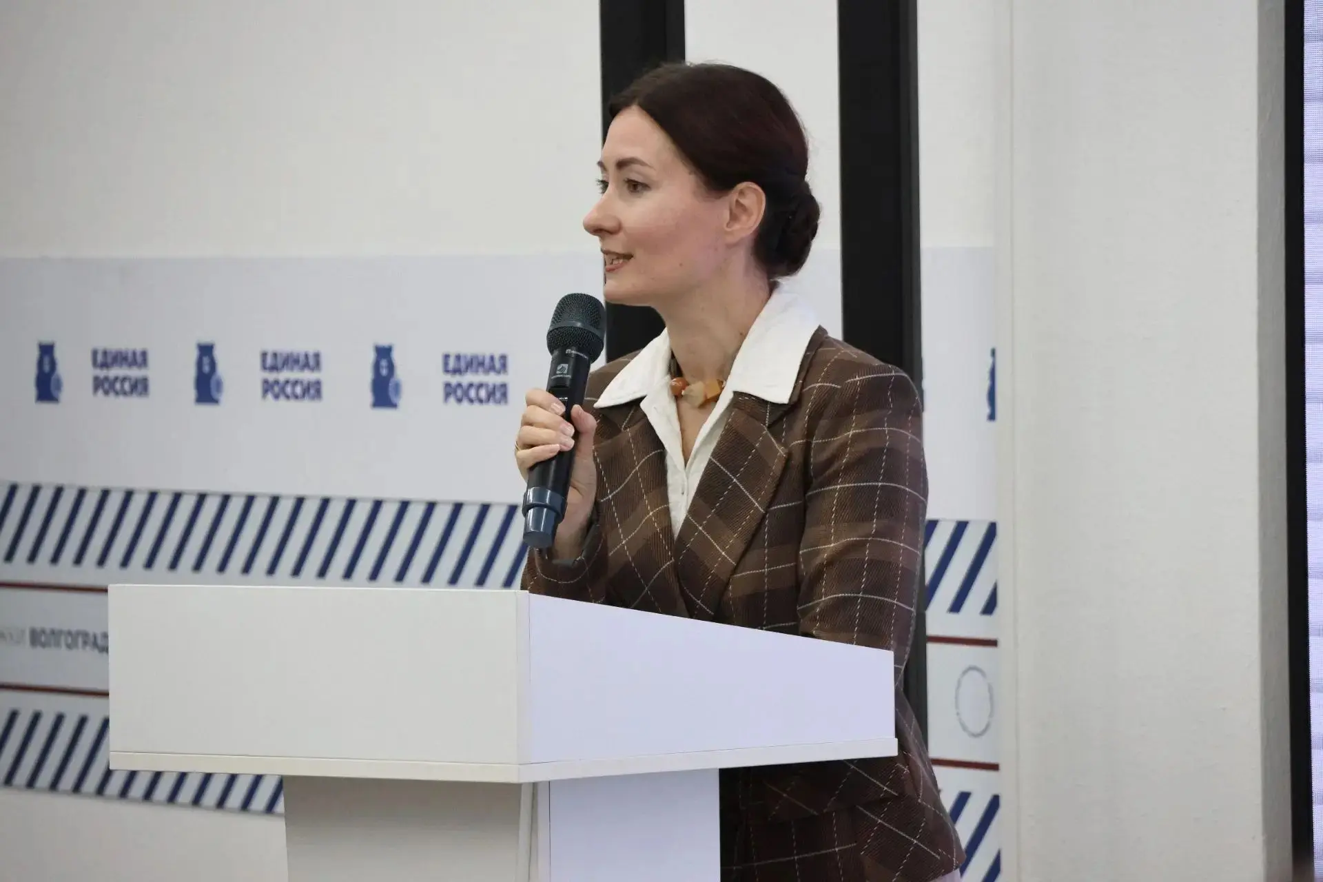 Презентация нового проекта Ассоциации организаций по защите семьи "Вместе со СВОими" со...
