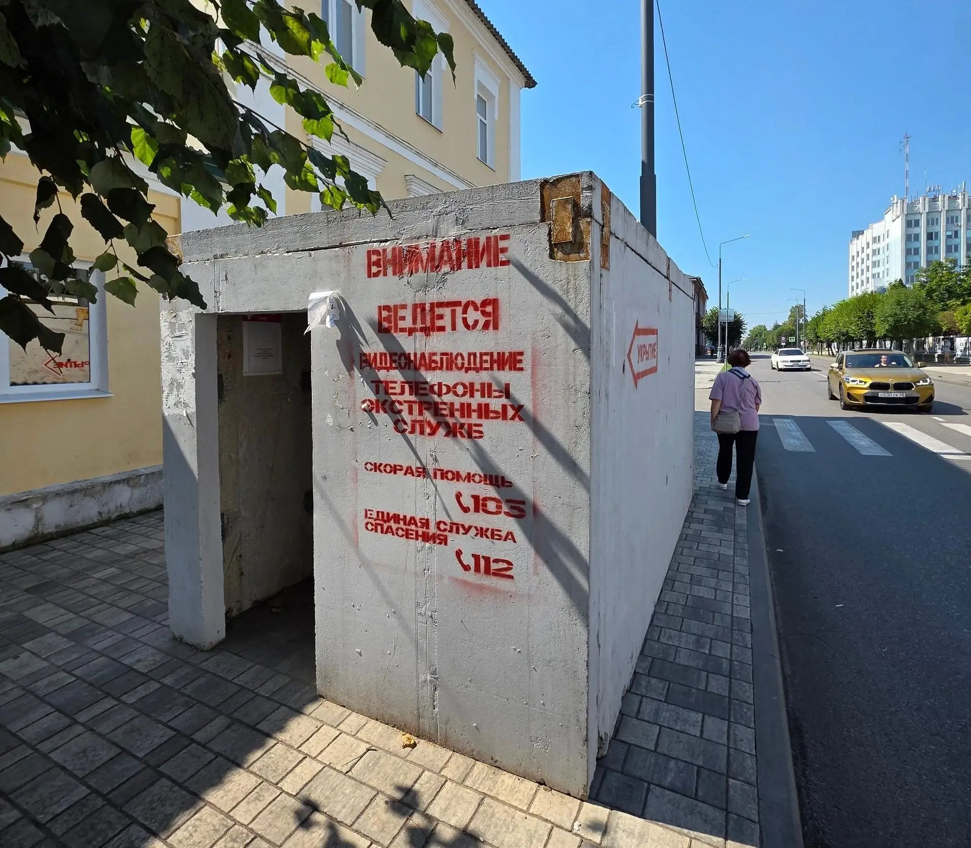 Мальчик в реанимации, девочку перевели в Москву: что известно о детях, пострадавших при...