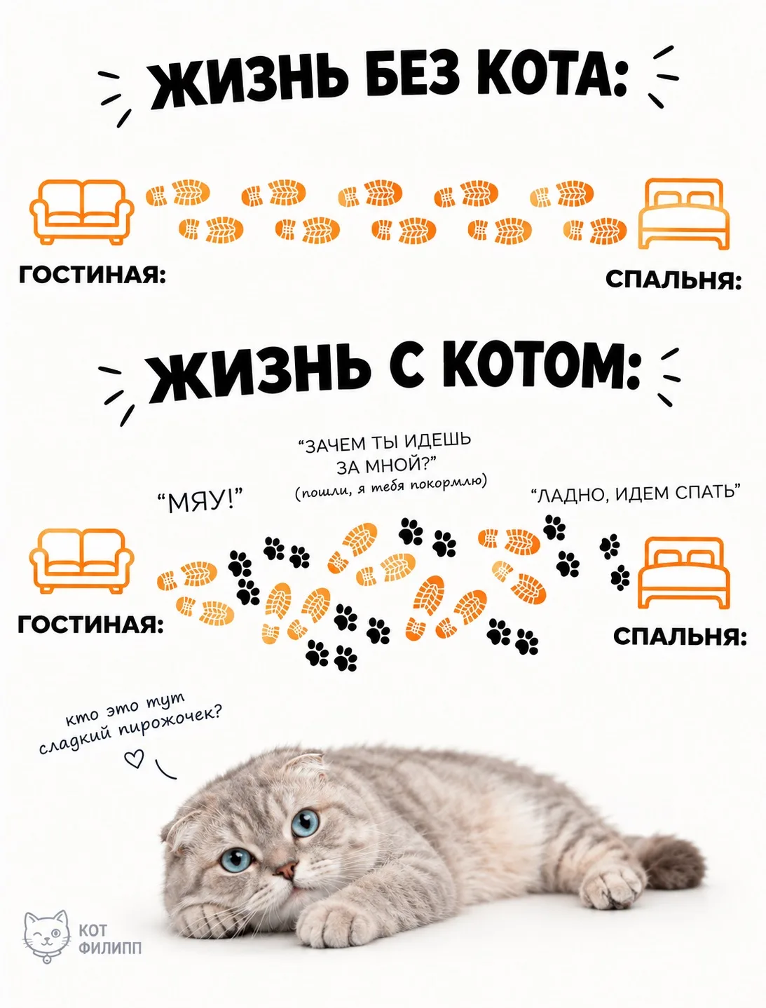 Без кота и жизнь не та❤️