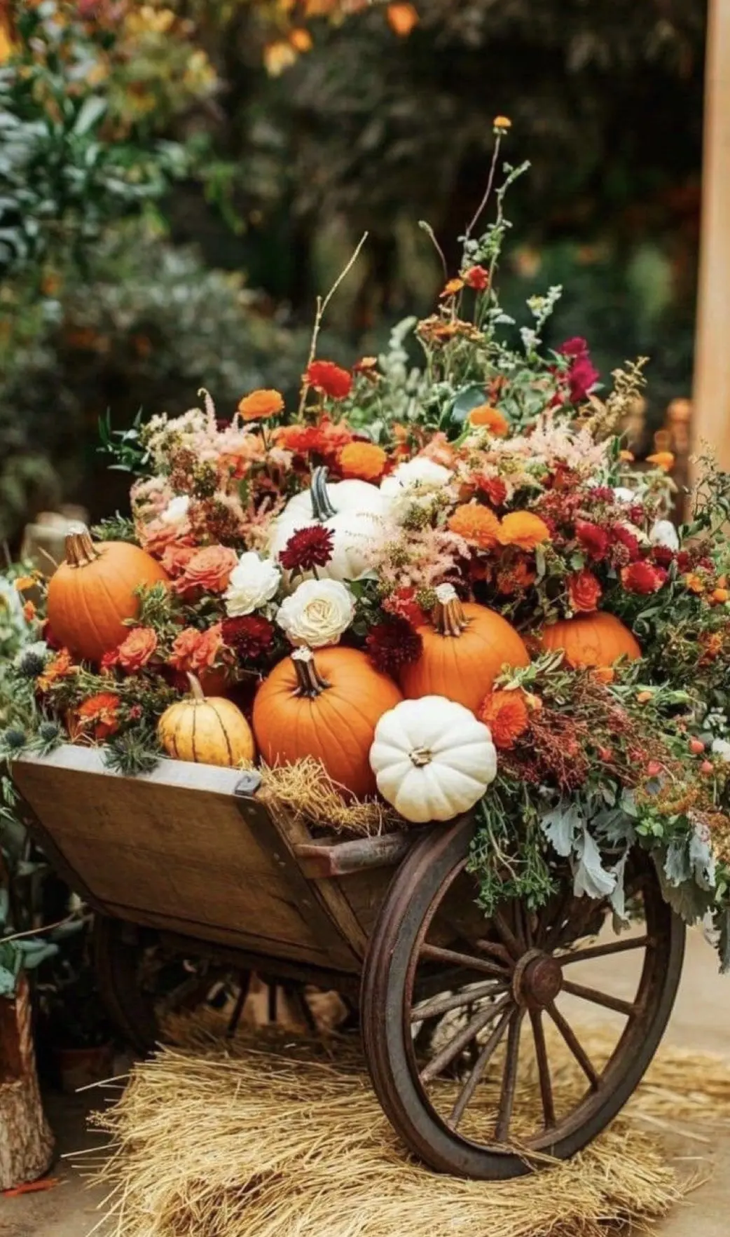 Вместо цветов🌺🍁🌻❤️👍