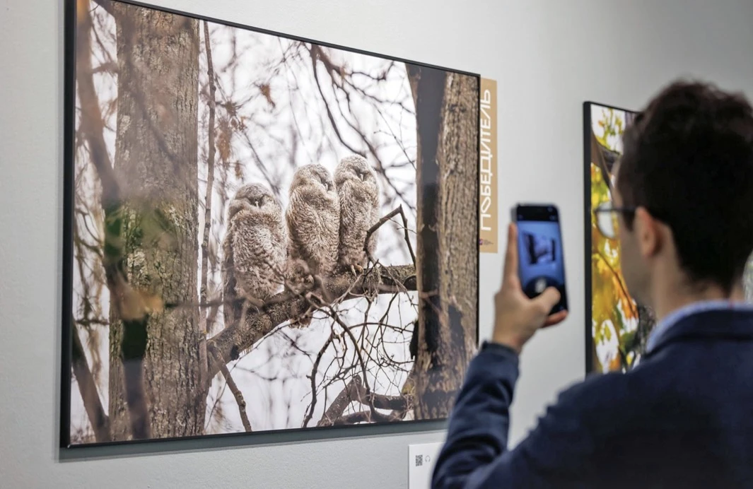 🖼️ В Манеже откроется выставка лучших работ фотографов-анималистов. Проект «Золотая че...