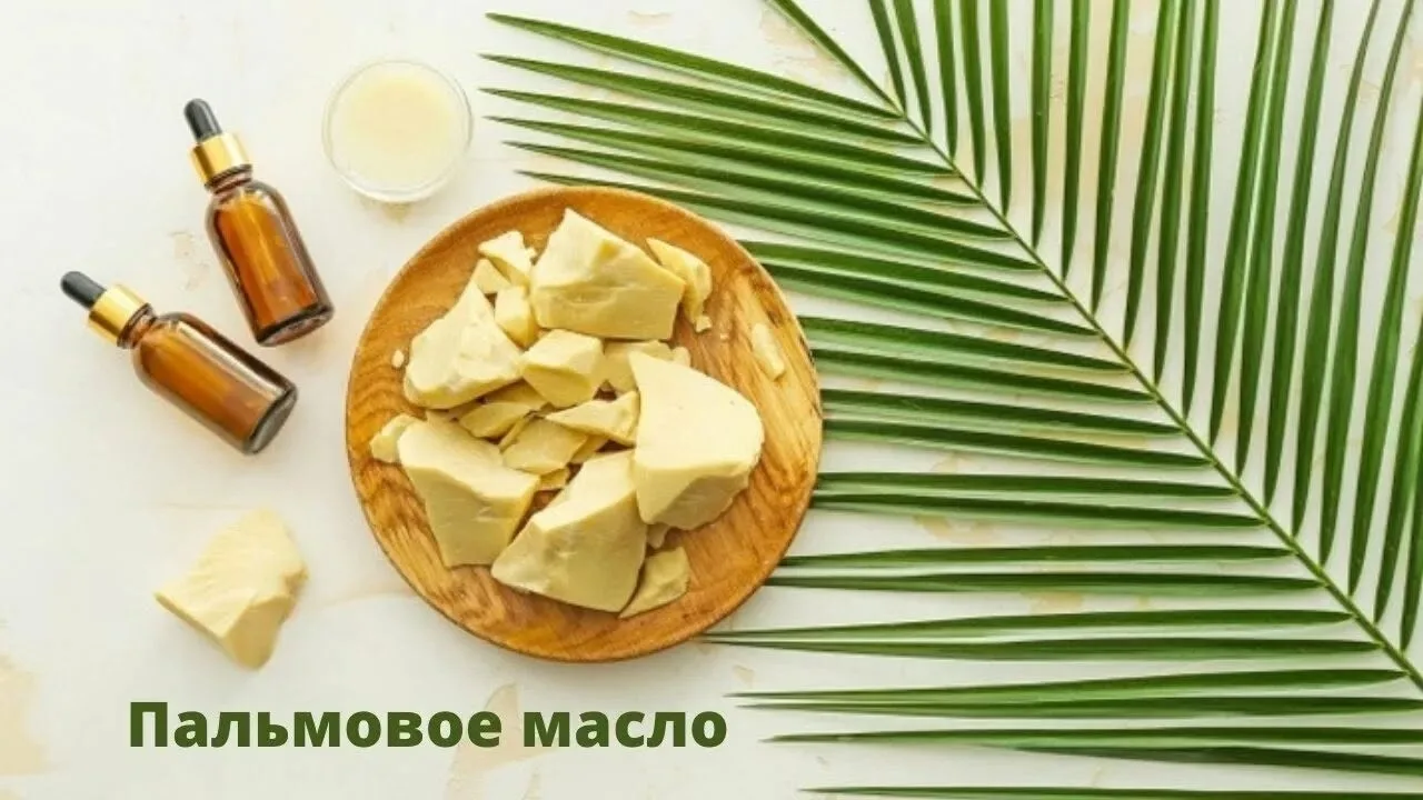 Молочка снова подорожает в России, уже с ноября. Производители начали предупреждать тор...