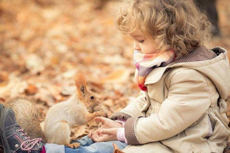 Отправляемся в парки кормить пушистых белочек 🐿️