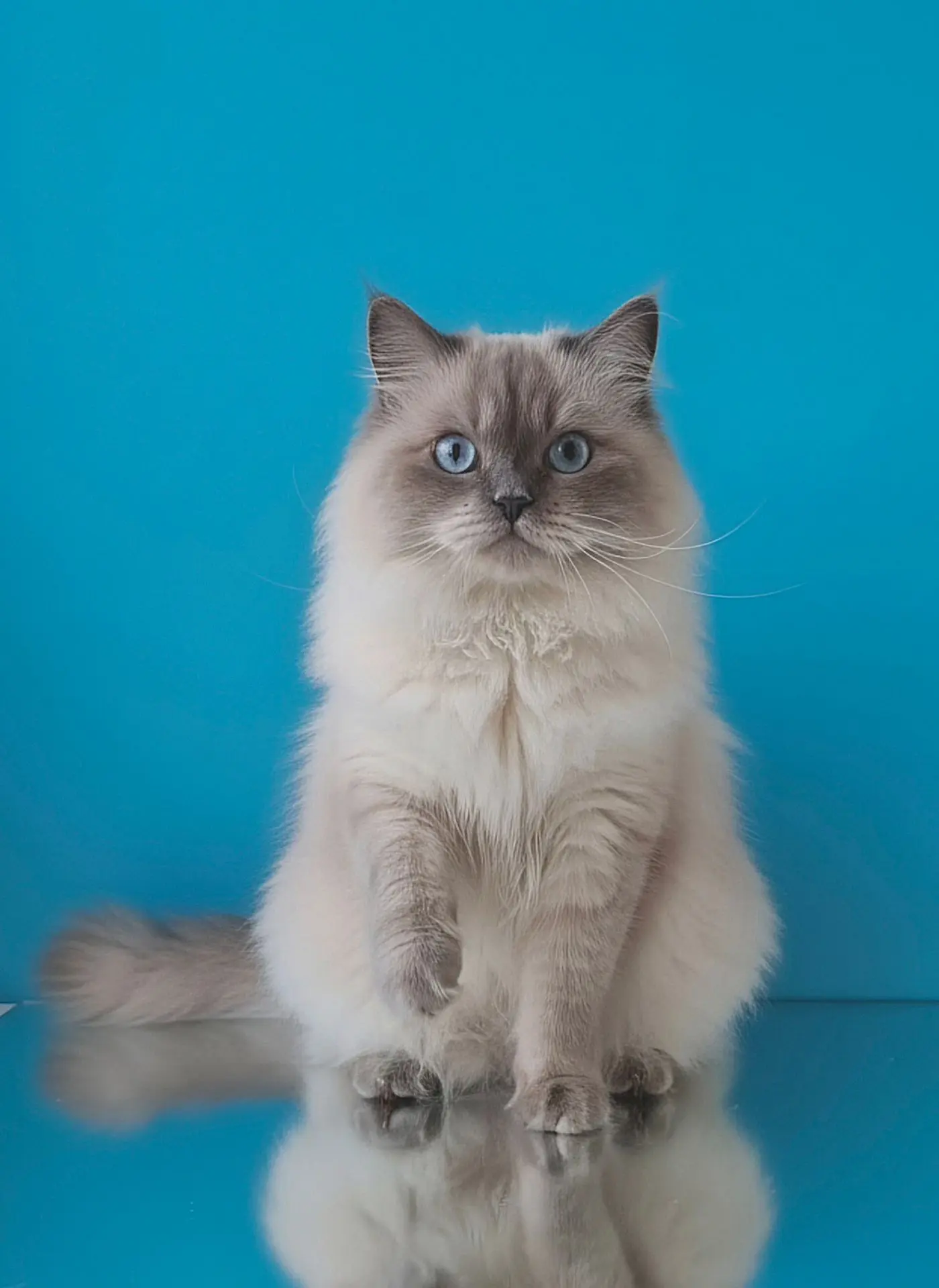 Наш Glamur 😻