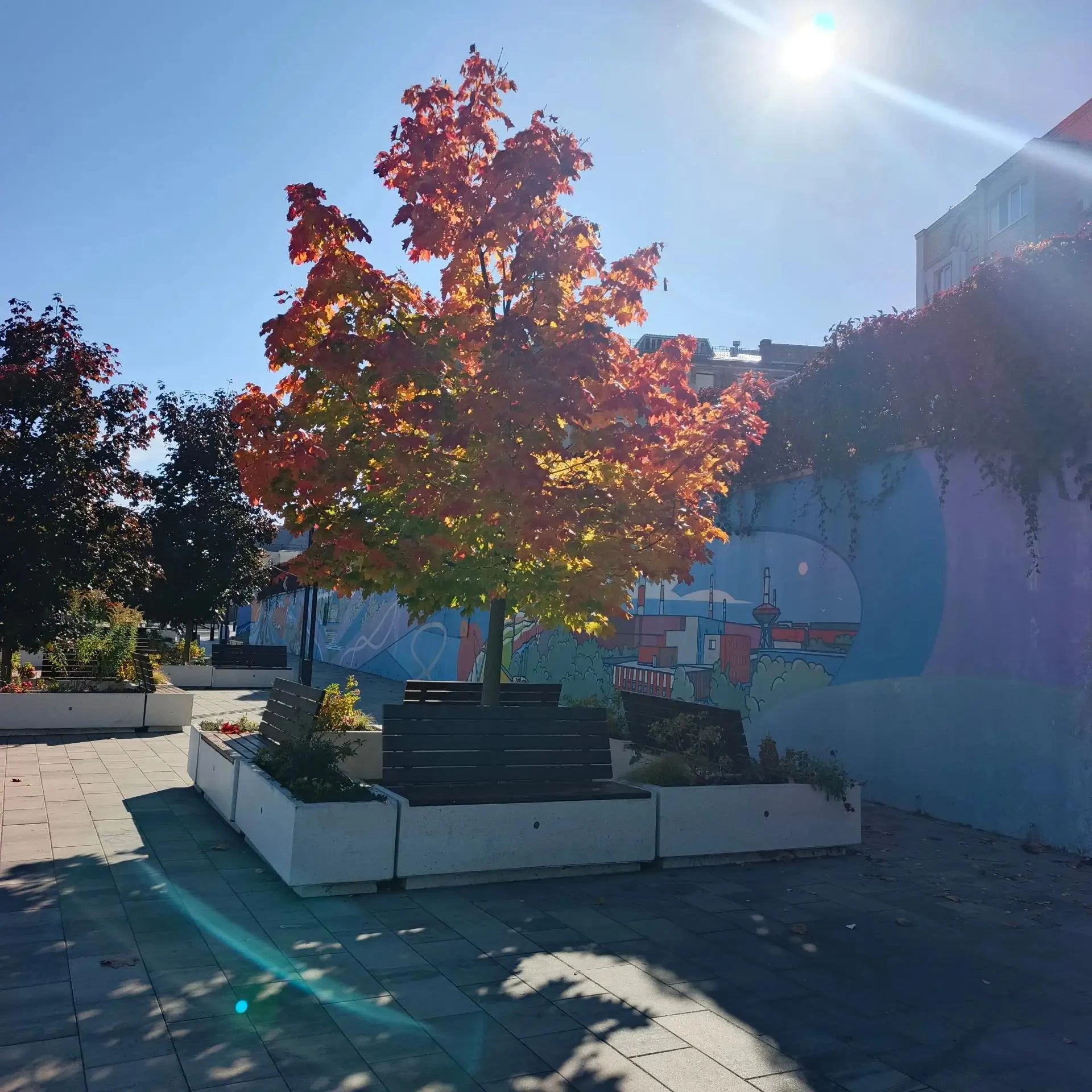 Доброе утро, Старый Оскол! ☀️