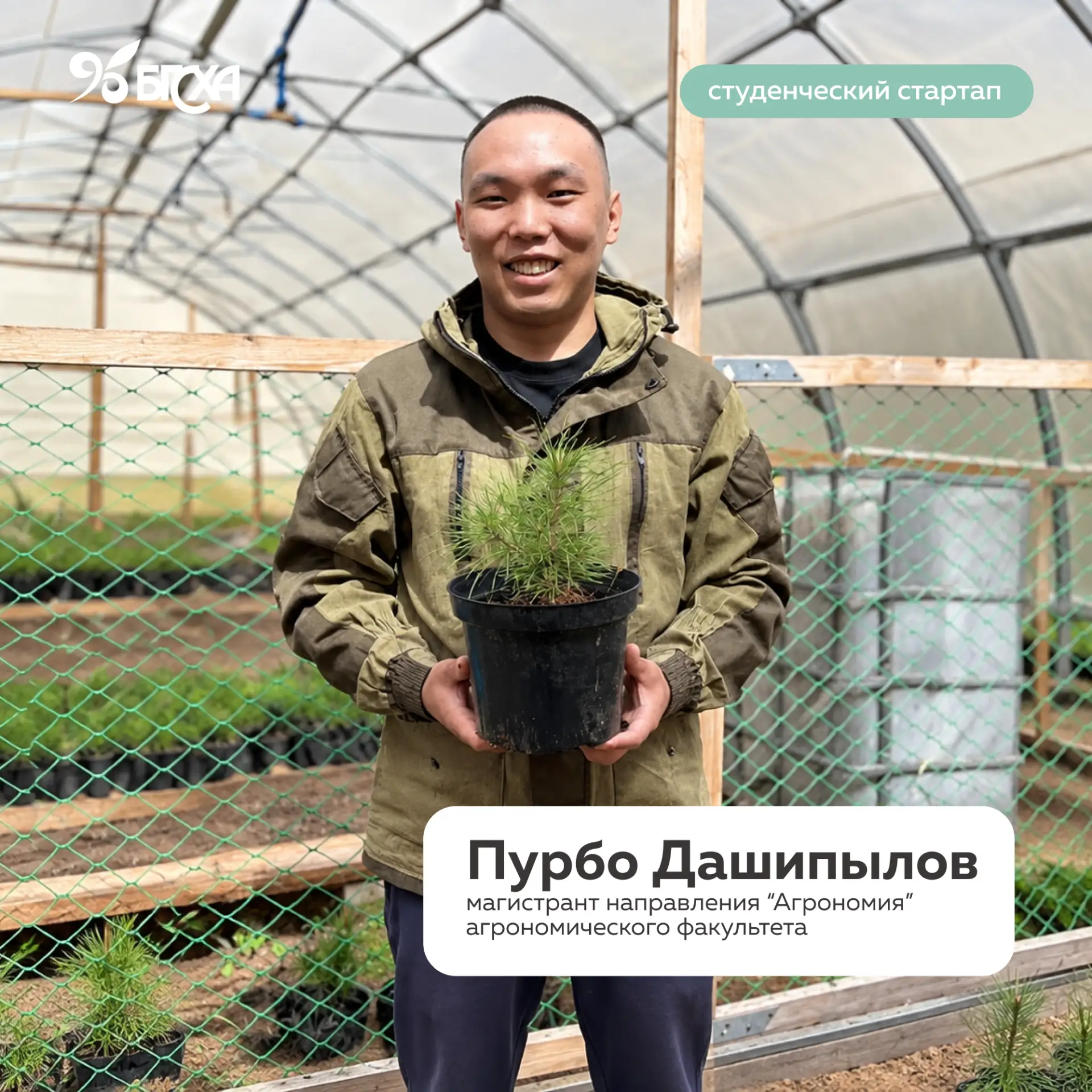 Стартап на миллион 🌲