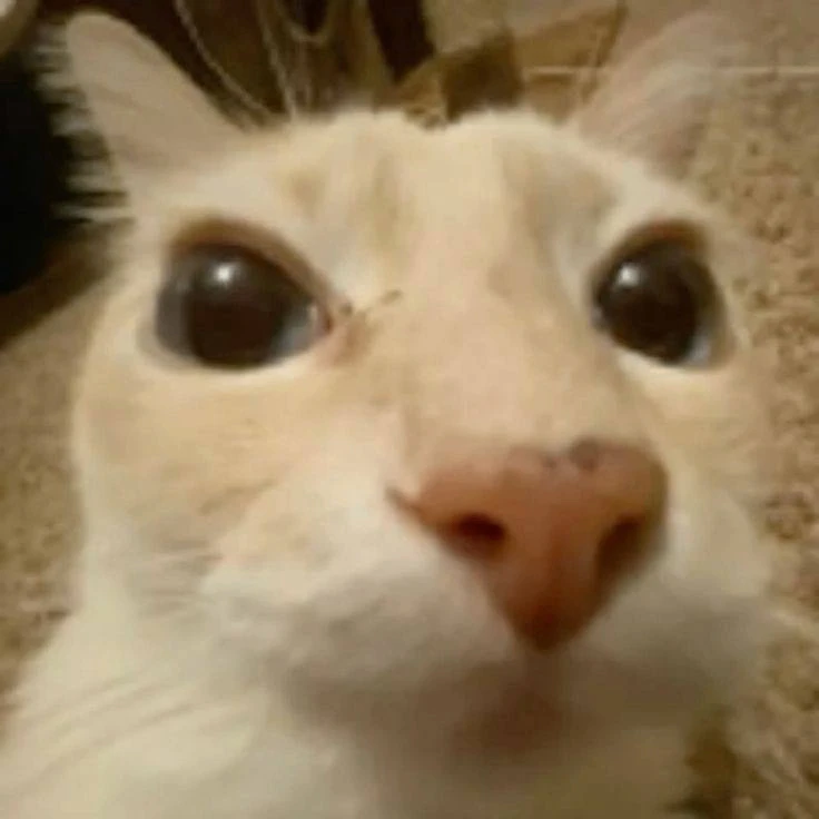 *мы? (ты справа)