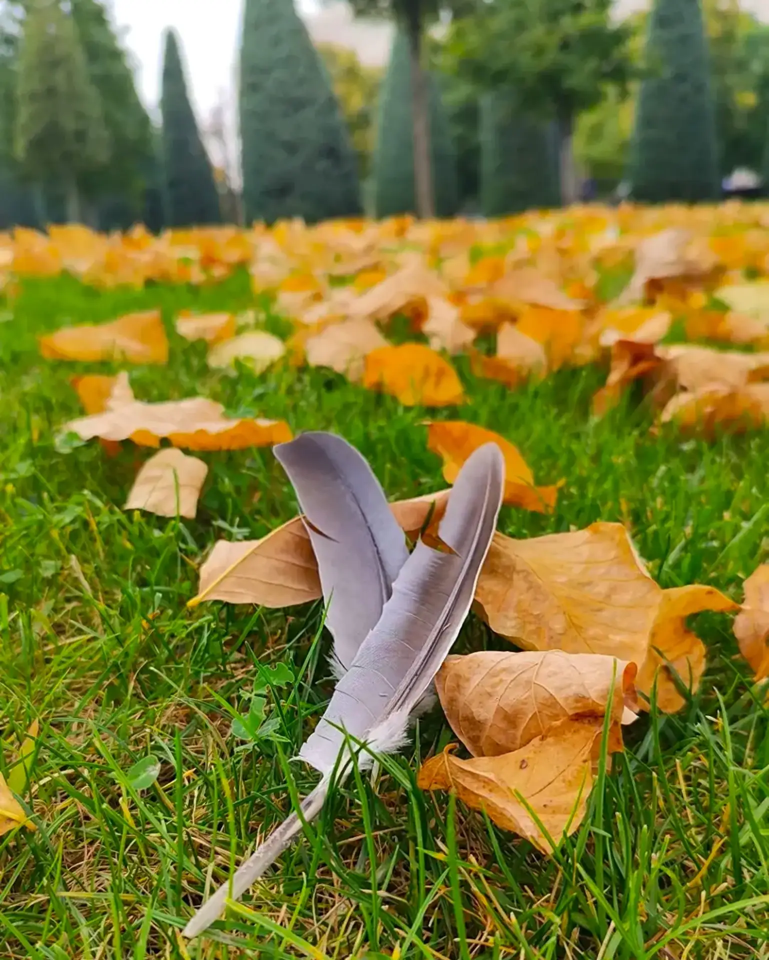 А у нас уже солнце ☀️ Почувствуйте наш осенний вайб 🍁