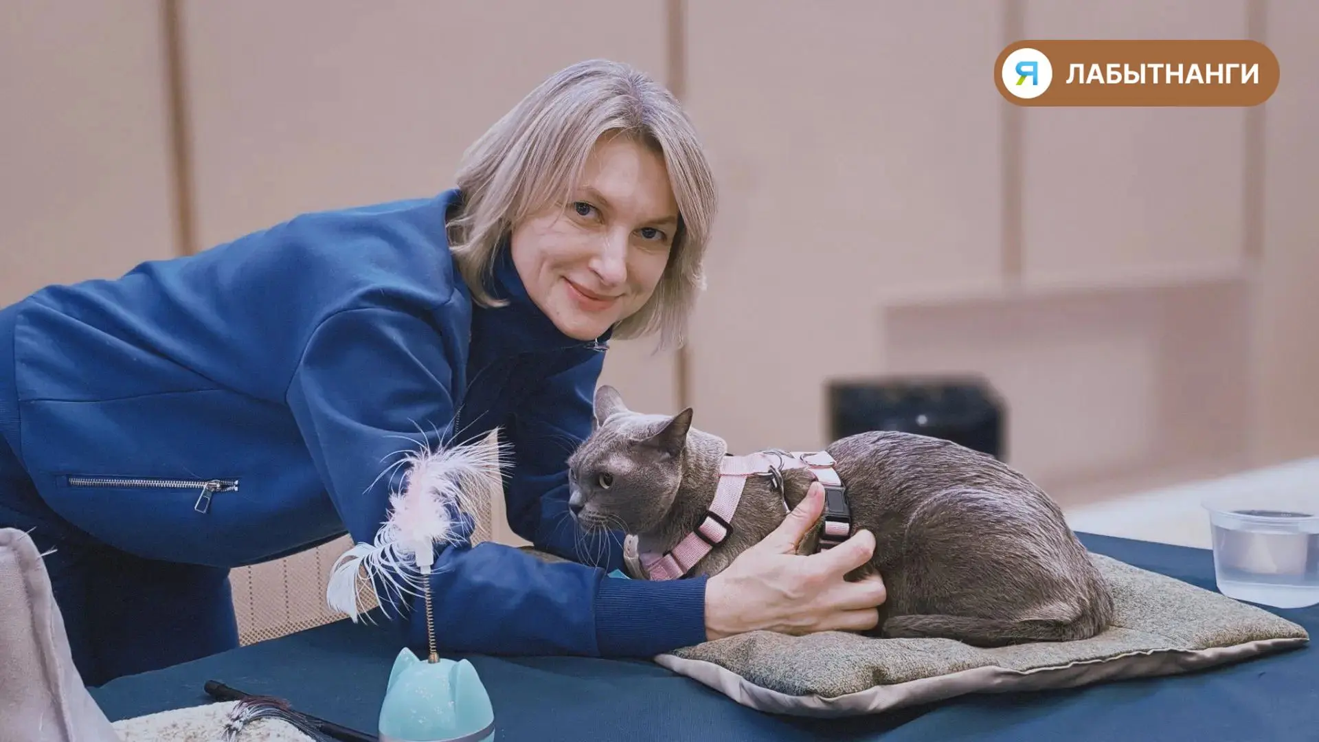 🐱 Четыре хвостика нашли дом на выставке в Лабытнанги
