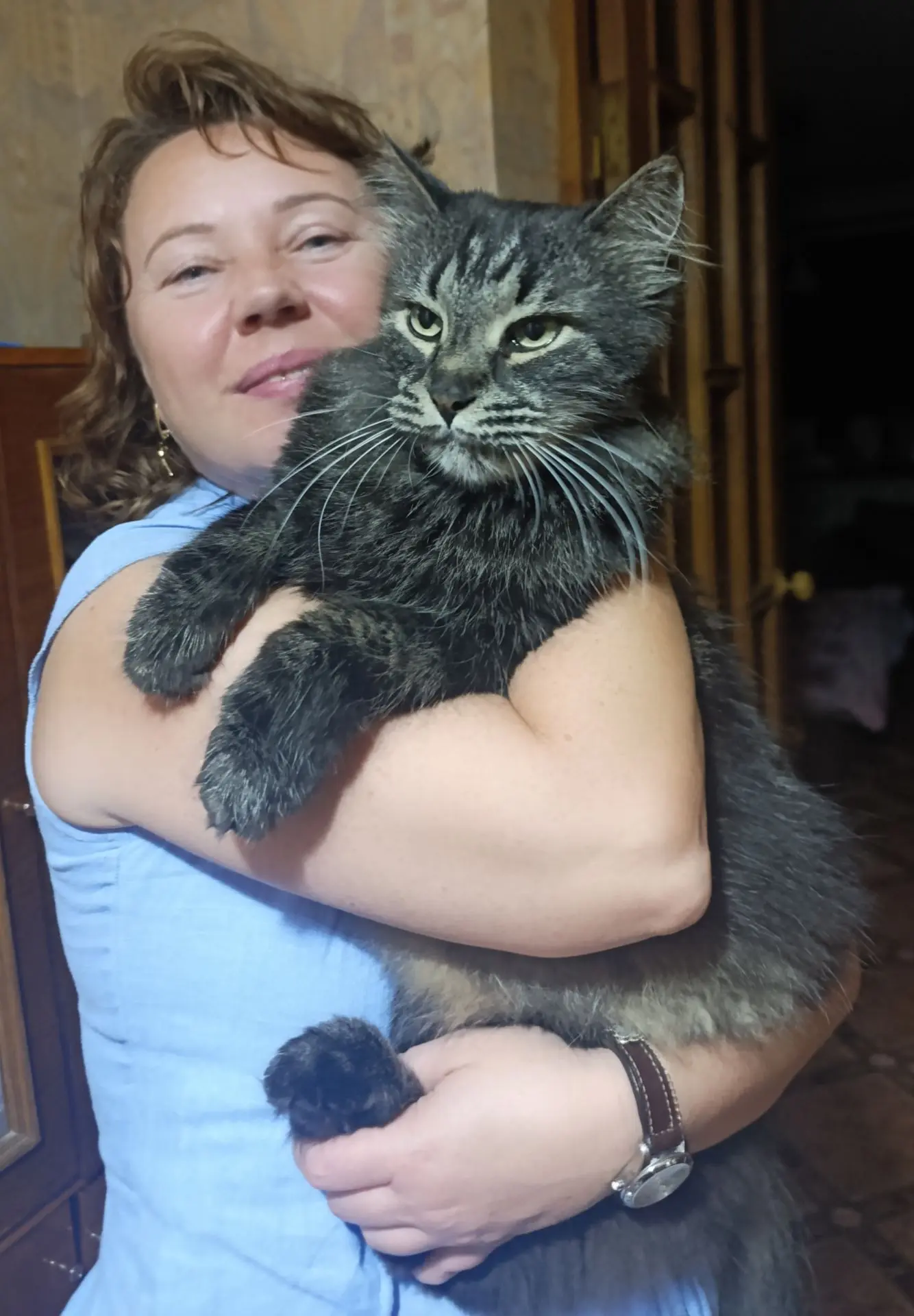 Всем Мур! 🐾