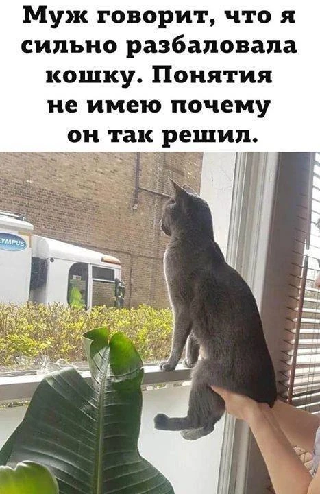 Подпишись на юмор 😂